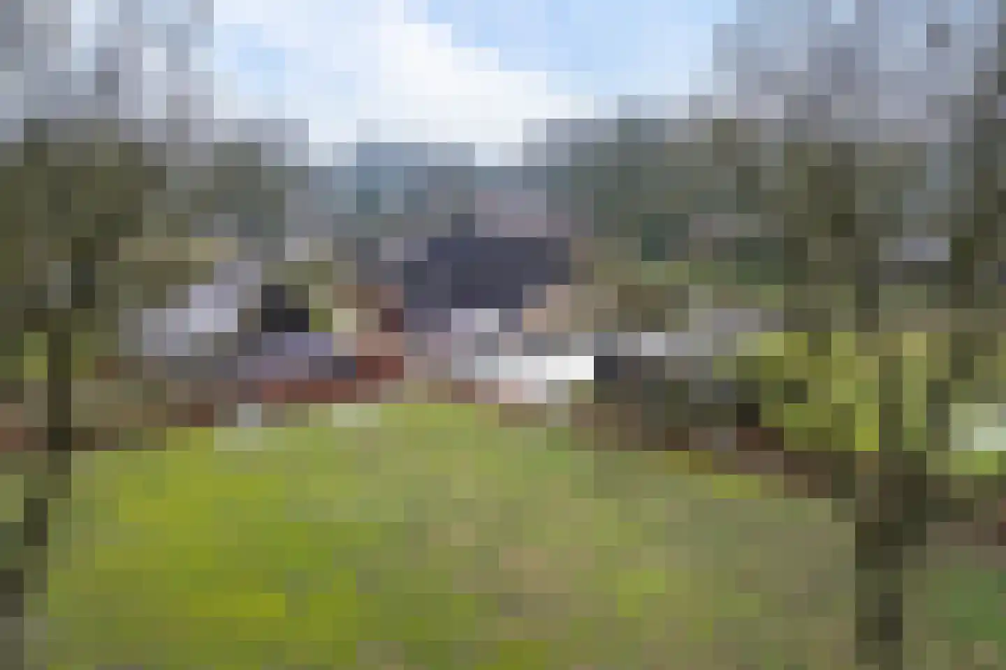 Driftweg 3 Meppen thumbnail 42