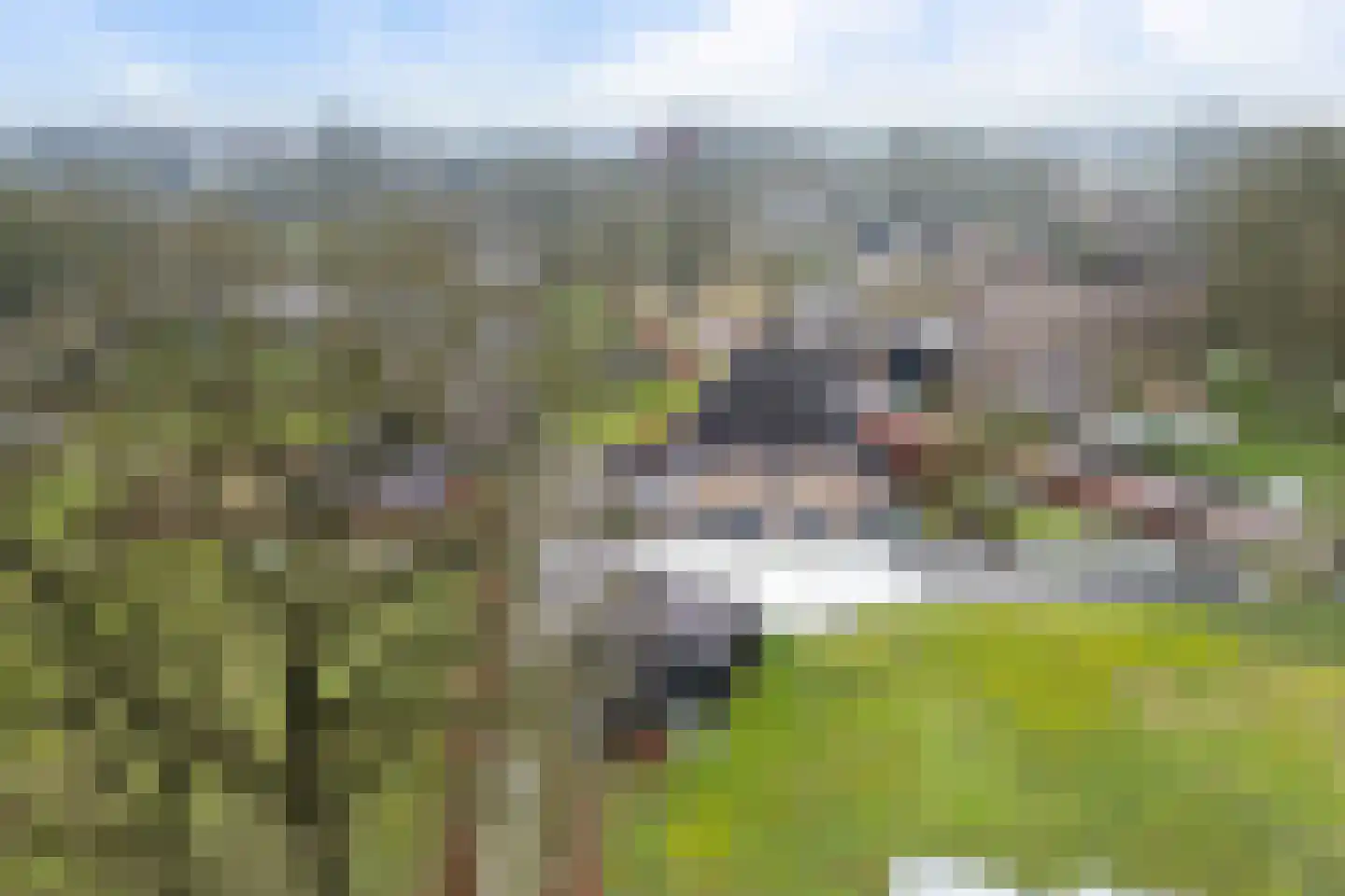 Driftweg 3 Meppen thumbnail 44