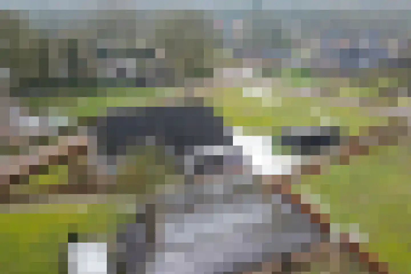 Driftweg 3 Meppen thumbnail 45