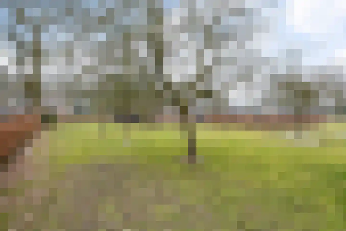 Driftweg 3 Meppen thumbnail 46