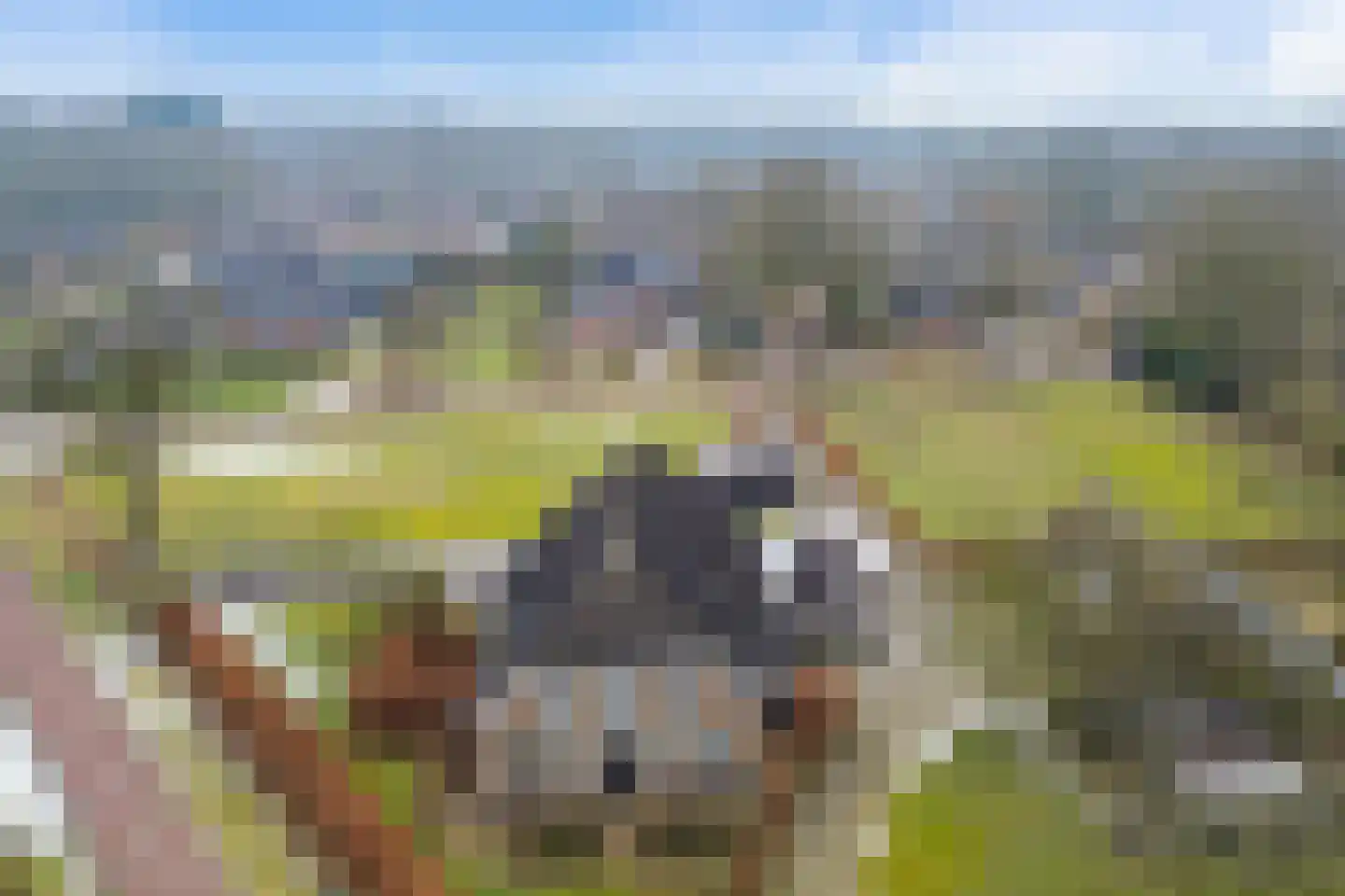 Driftweg 3 Meppen thumbnail 48