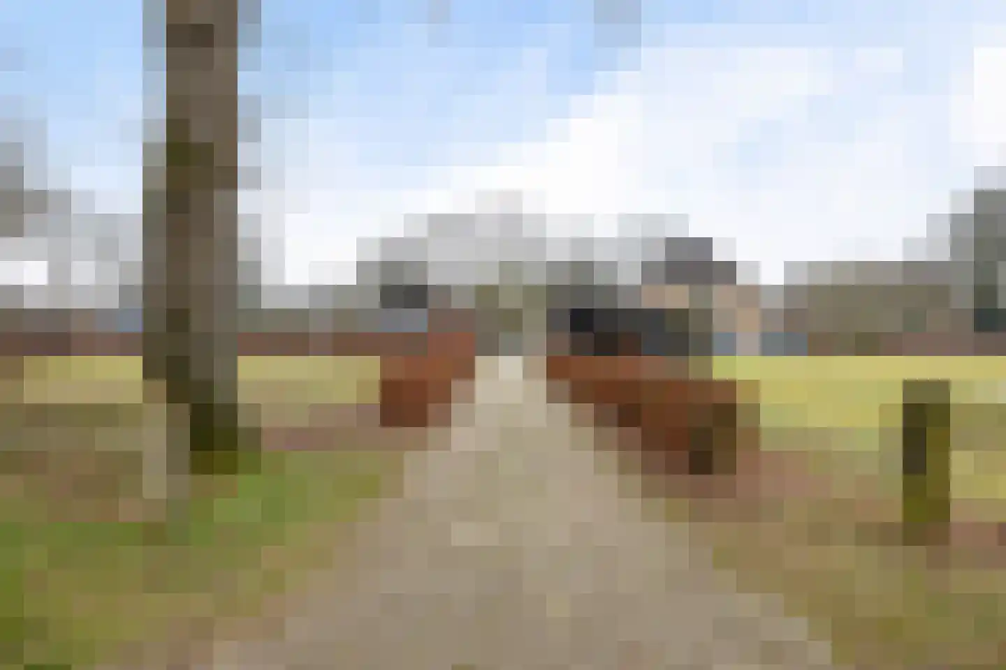 Driftweg 3 Meppen thumbnail 50