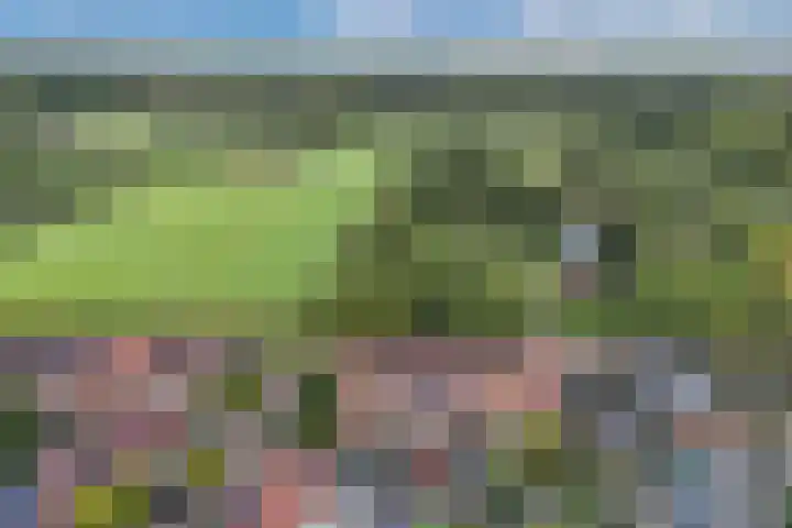 Driftweg 51 Huizen thumbnail 33