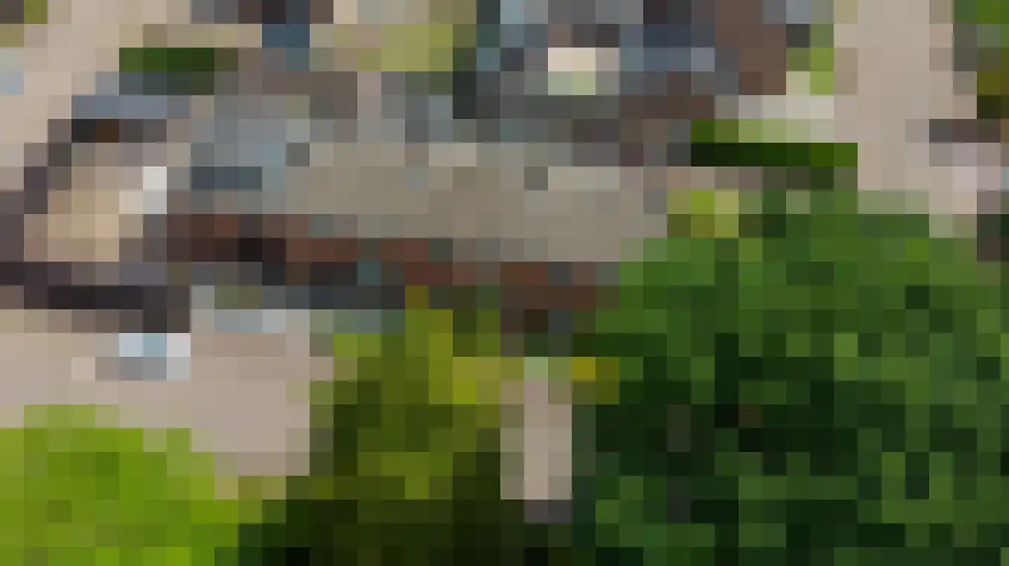 Driftweg 54 Nunspeet thumbnail 4