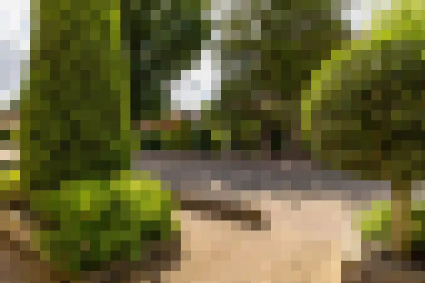 Driftweg 54 Nunspeet thumbnail 7