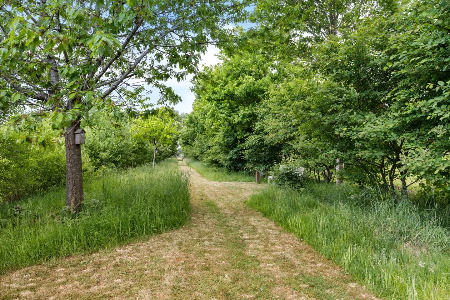 Drijberseweg 12 Wijster thumbnail 43