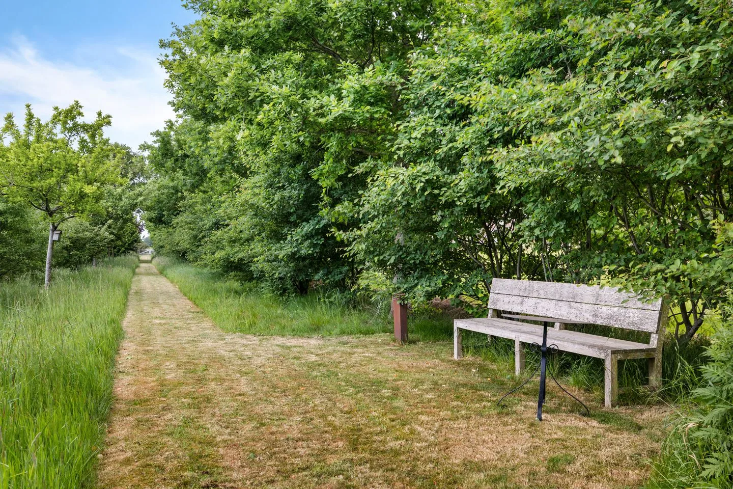 Drijberseweg 12 Wijster thumbnail 44