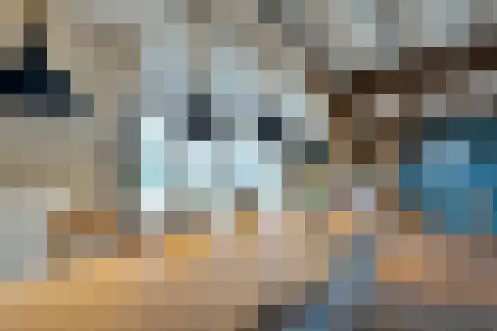 Drijberseweg 13 Wijster thumbnail 15