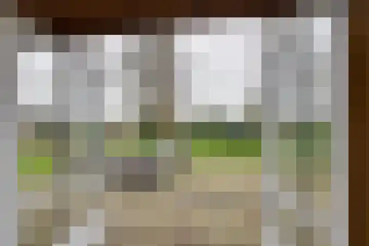 Drijberseweg 13 Wijster thumbnail 16