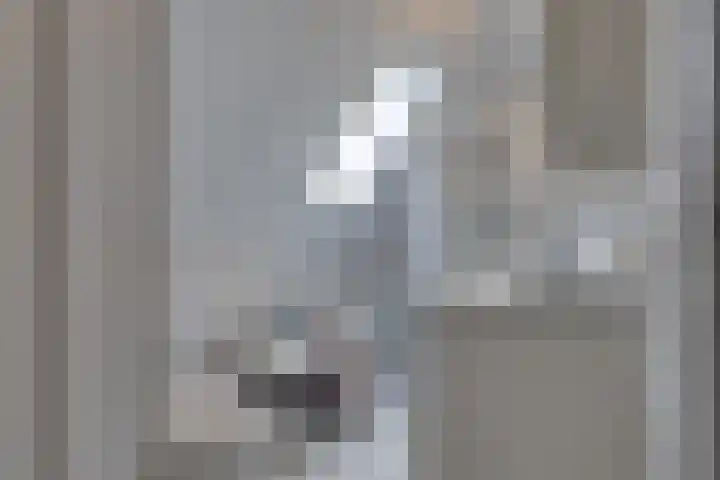 Drijberseweg 13 Wijster thumbnail 37