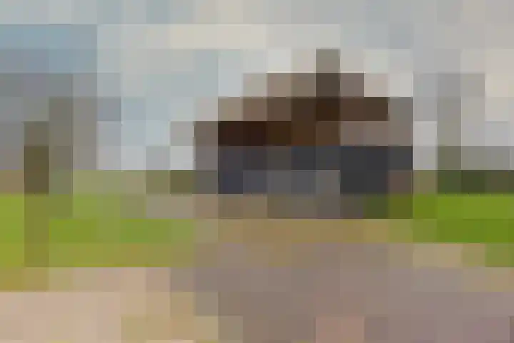 Drijberseweg 13 Wijster thumbnail 39