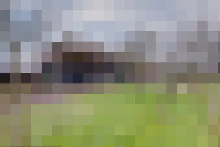 Drijberseweg 13 Wijster thumbnail 42