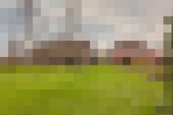 Drijberseweg 13 Wijster thumbnail 44