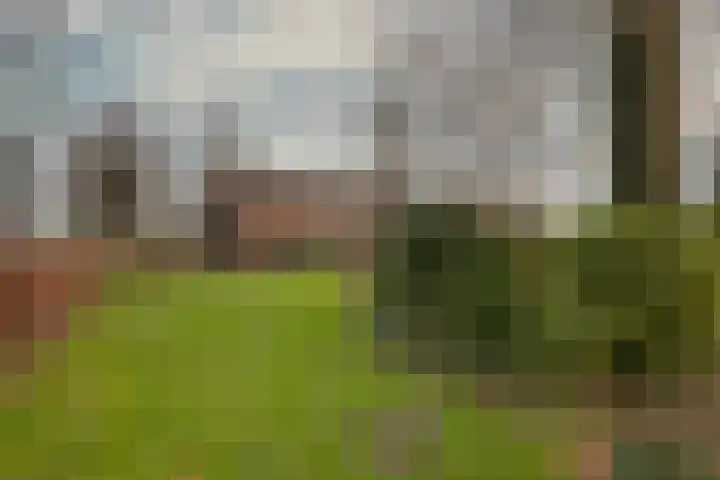 Drijberseweg 13 Wijster thumbnail 45