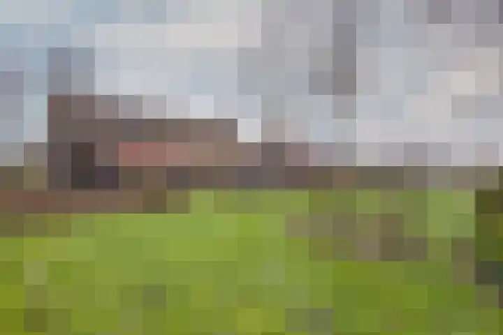 Drijberseweg 13 Wijster thumbnail 46