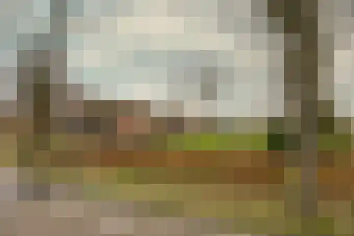 Drijberseweg 13 Wijster thumbnail 47