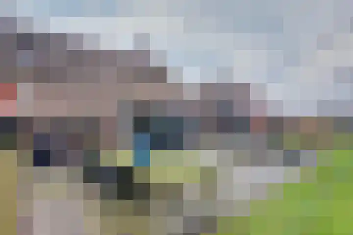 Drijberseweg 13 Wijster thumbnail 48