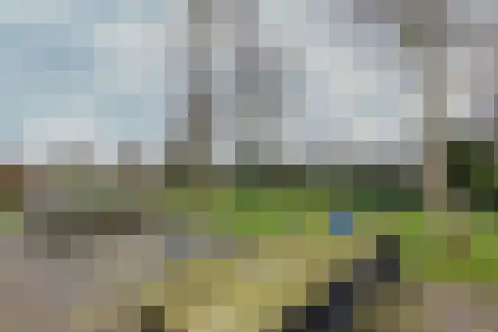 Drijberseweg 13 Wijster thumbnail 49