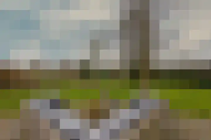 Drijberseweg 13 Wijster thumbnail 50