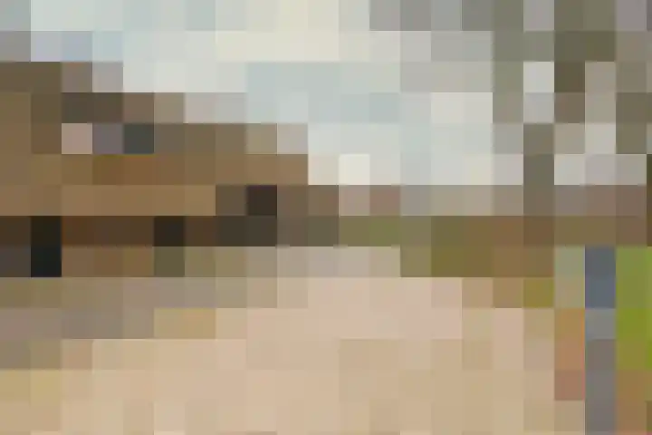 Drijberseweg 13 Wijster thumbnail 51