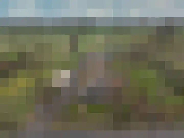 Drijberseweg 13 Wijster thumbnail 52