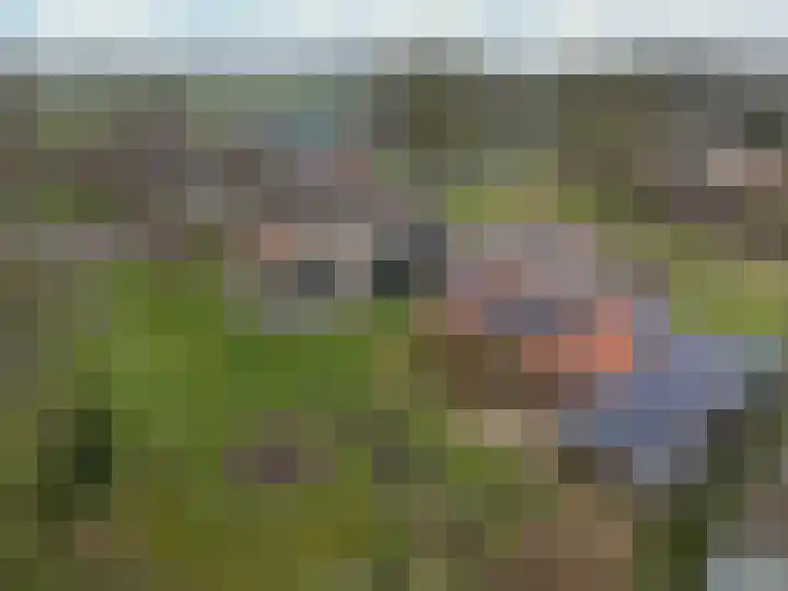 Drijberseweg 13 Wijster thumbnail 53