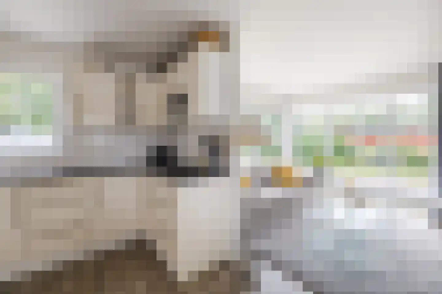 Drijberseweg 36 AH4 Wijster thumbnail 10