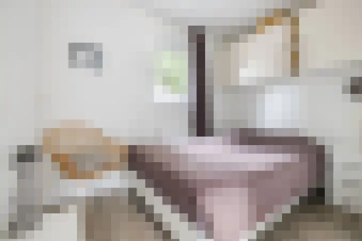 Drijberseweg 36 AH4 Wijster thumbnail 13