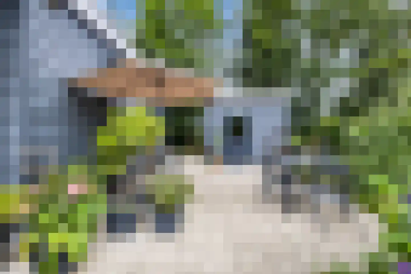 Drijberseweg 36 AH4 Wijster thumbnail 18