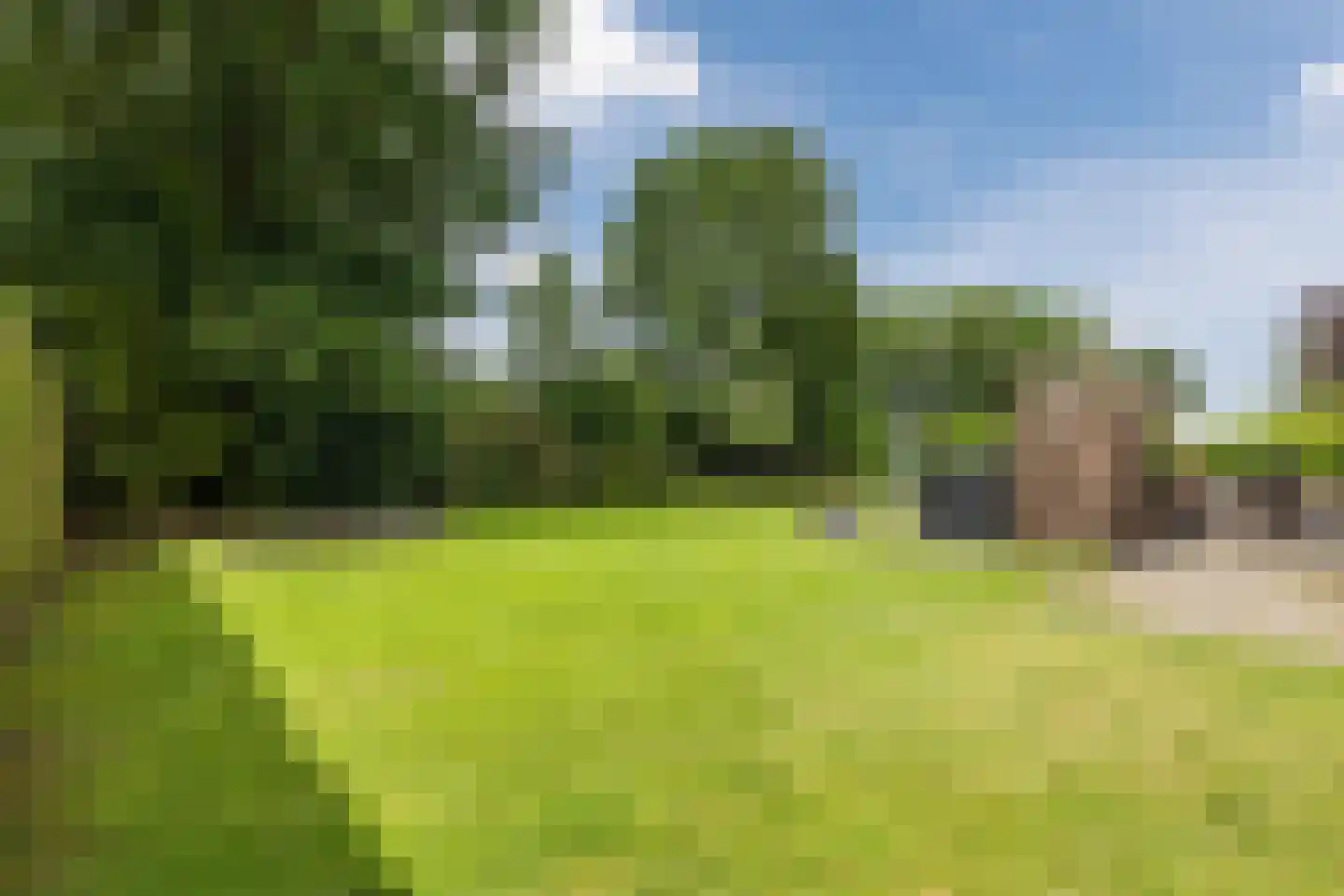 Drijberseweg 36 B Wijster thumbnail 39