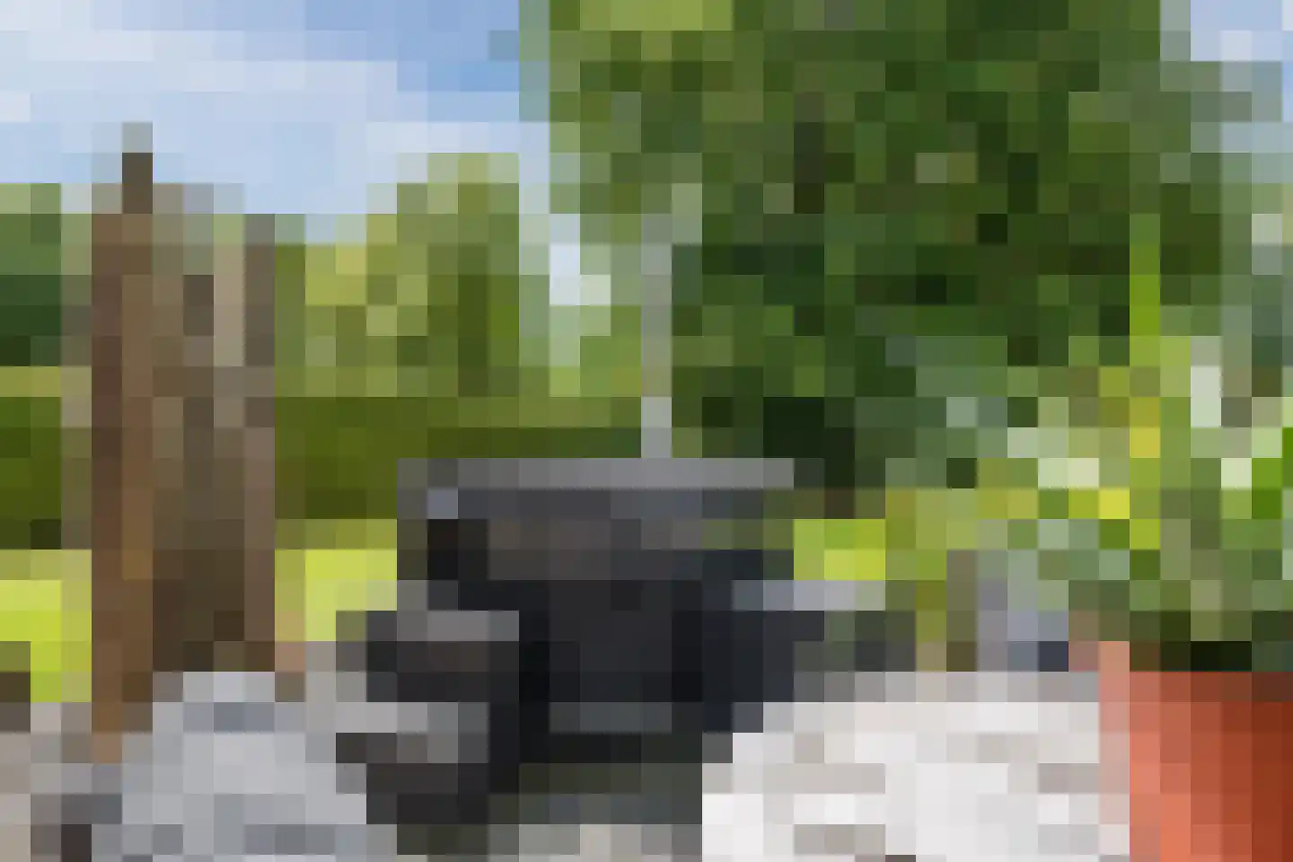 Drijberseweg 36 B Wijster thumbnail 41