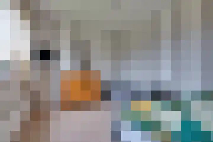 Drijberseweg 6 Wijster thumbnail 12