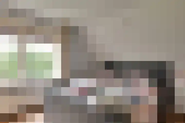 Drijberseweg 6 Wijster thumbnail 16