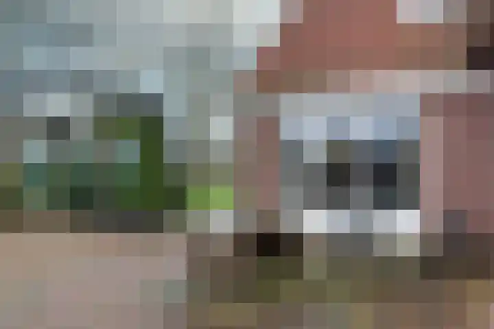 Drijberseweg 6 Wijster thumbnail 23