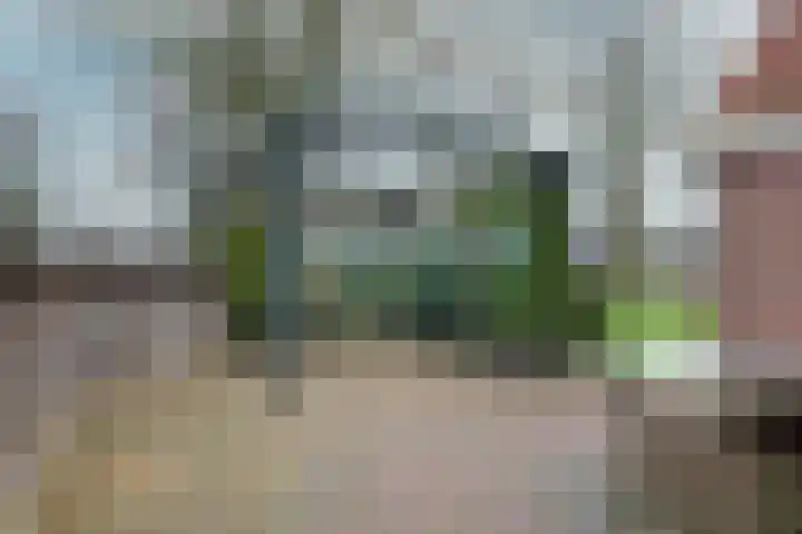 Drijberseweg 6 Wijster thumbnail 24