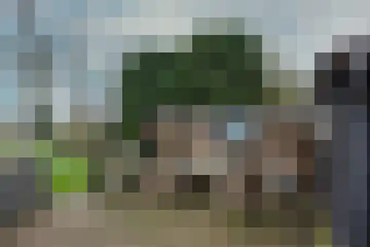 Drijberseweg 6 Wijster thumbnail 26