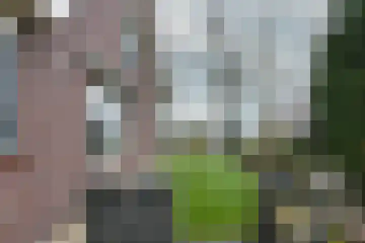 Drijberseweg 6 Wijster thumbnail 27