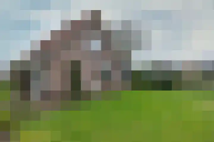 Drijberseweg 6 Wijster thumbnail 28