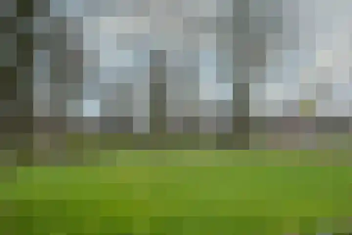 Drijberseweg 6 Wijster thumbnail 30