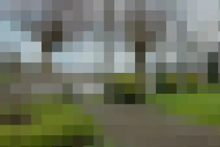Drijberseweg 6 Wijster thumbnail 31