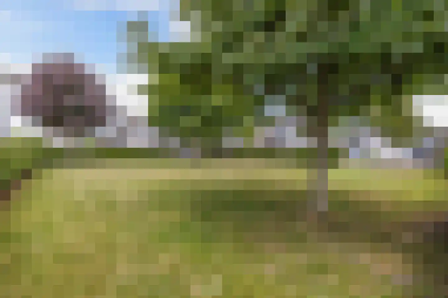 Drijfanker 51 Almere thumbnail 6