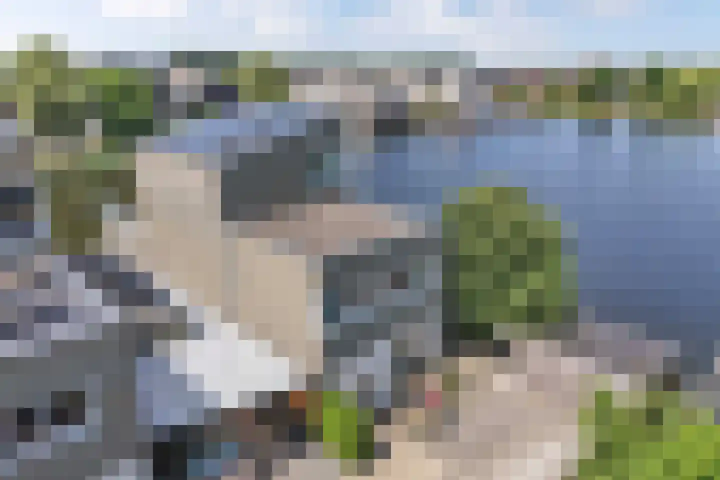 Drijfanker 51 Almere thumbnail 7