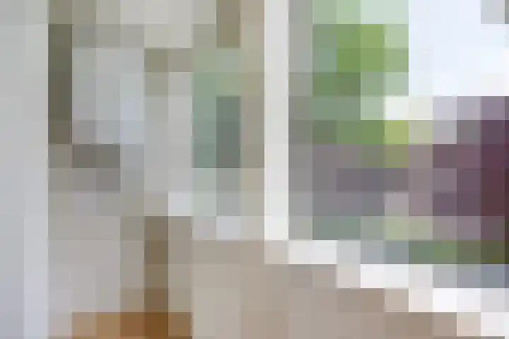 Drijfhoutstraat 1 Rotterdam thumbnail 24