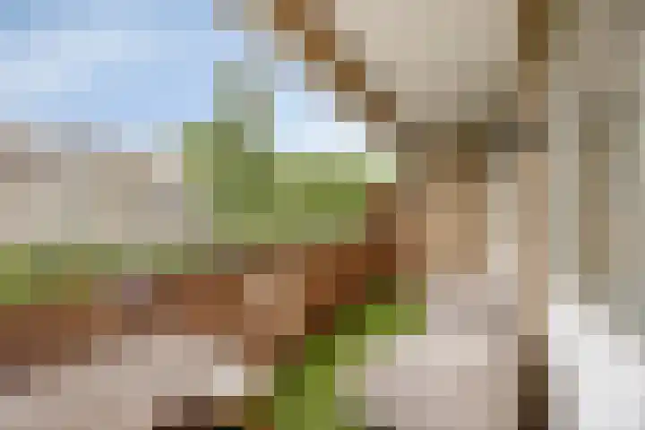 Drijfhoutstraat 1 Rotterdam thumbnail 7