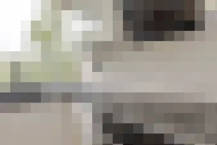 Drijfhoutstraat 5 Rotterdam thumbnail 14