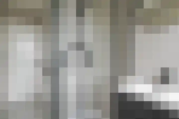 Drijfhoutstraat 5 Rotterdam thumbnail 16