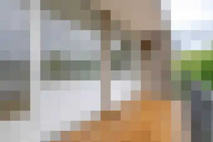 Drijfhoutstraat 5 Rotterdam thumbnail 21