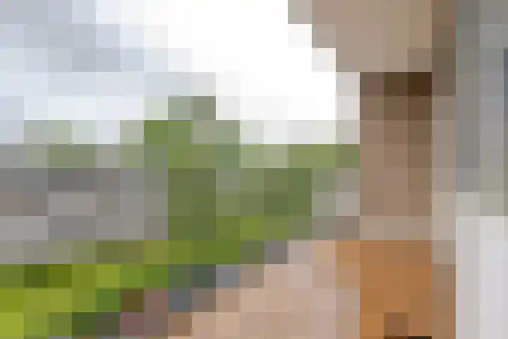 Drijfhoutstraat 5 Rotterdam thumbnail 4