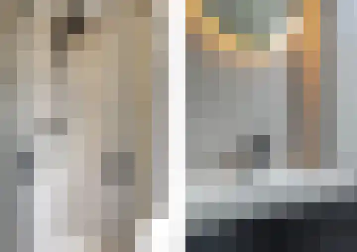 Drijfhoutstraat 5 Rotterdam thumbnail 5