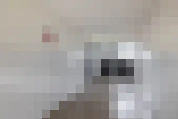 Drijfhoutstraat 55 Rotterdam thumbnail 10
